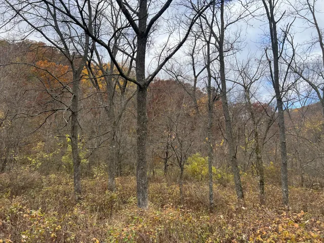 $1,099,000 | Xxx East Twin Ridge Road, Houston, MN 55943