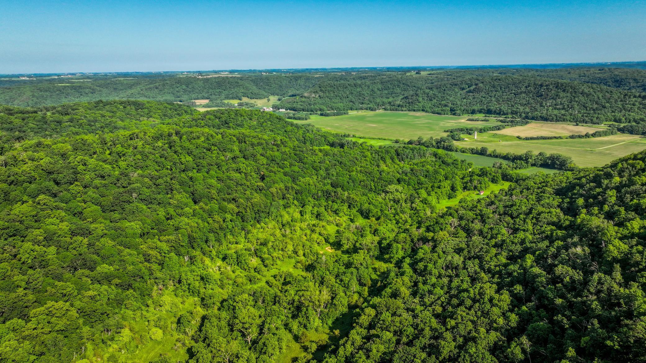 Xxx East Twin Ridge Road Houston, MN 55943 - Photo 6 of 94