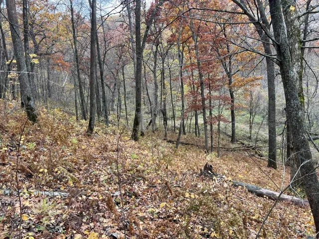 $1,099,000 | Xxx East Twin Ridge Road, Houston, MN 55943