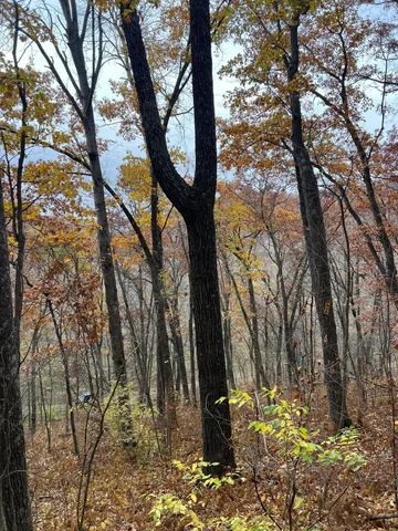 $1,099,000 | Xxx East Twin Ridge Road, Houston, MN 55943