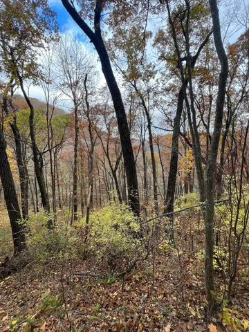 $1,099,000 | Xxx East Twin Ridge Road, Houston, MN 55943