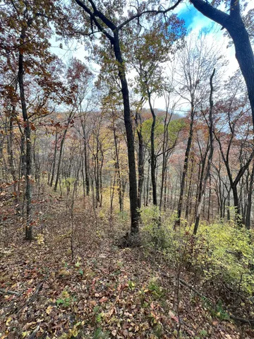 $1,099,000 | Xxx East Twin Ridge Road, Houston, MN 55943