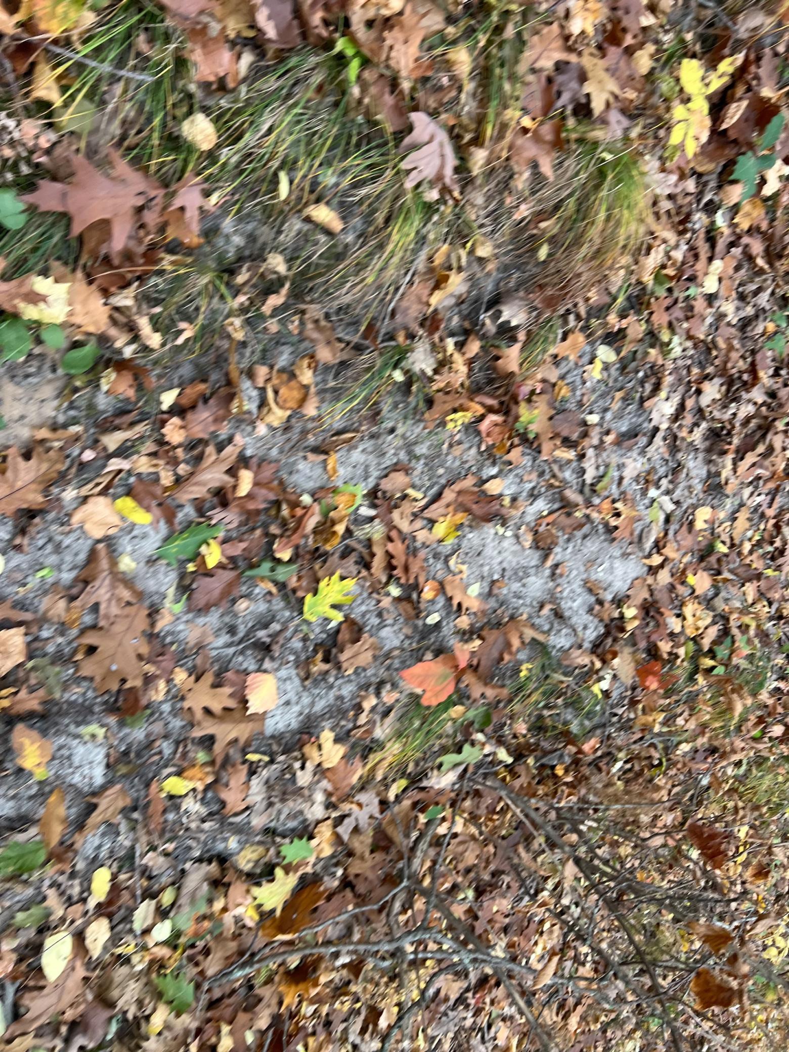 Xxx East Twin Ridge Road Houston, MN 55943 - Photo 67 of 94