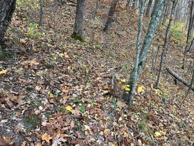 $1,099,000 | Xxx East Twin Ridge Road, Houston, MN 55943