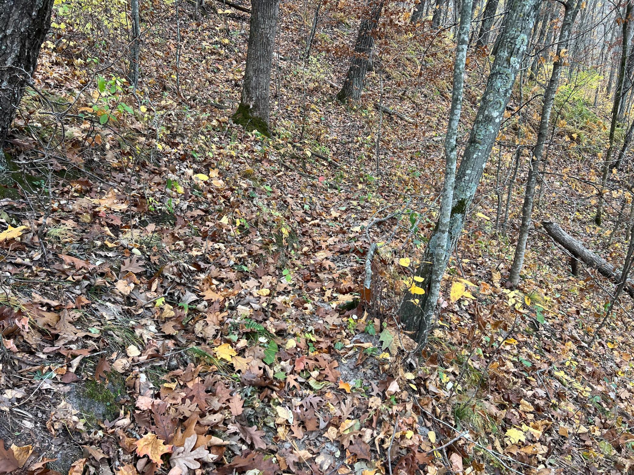 Xxx East Twin Ridge Road Houston, MN 55943 - Photo 68 of 94