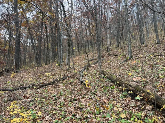 $1,099,000 | Xxx East Twin Ridge Road, Houston, MN 55943