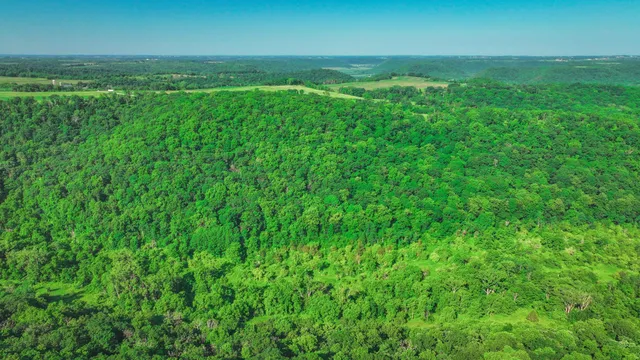 $1,099,000 | Xxx East Twin Ridge Road, Houston, MN 55943