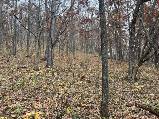 $1,099,000 | Xxx East Twin Ridge Road, Houston, MN 55943