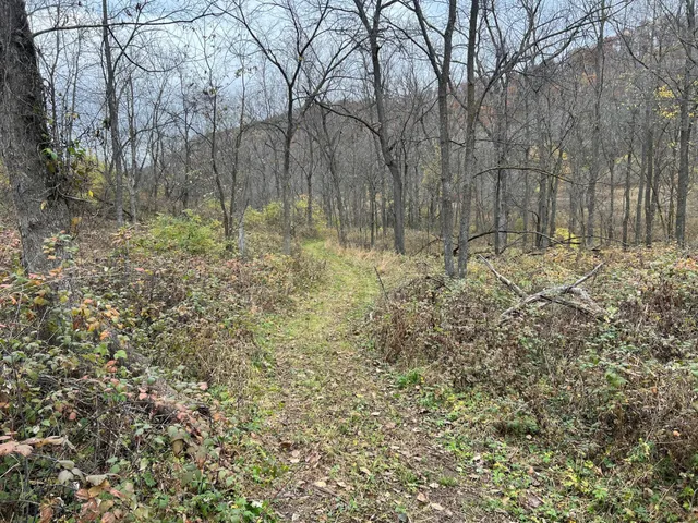 $1,099,000 | Xxx East Twin Ridge Road, Houston, MN 55943