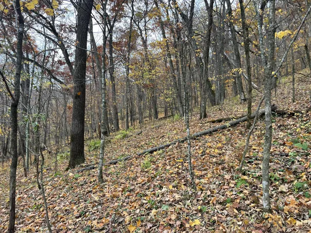 $1,099,000 | Xxx East Twin Ridge Road, Houston, MN 55943