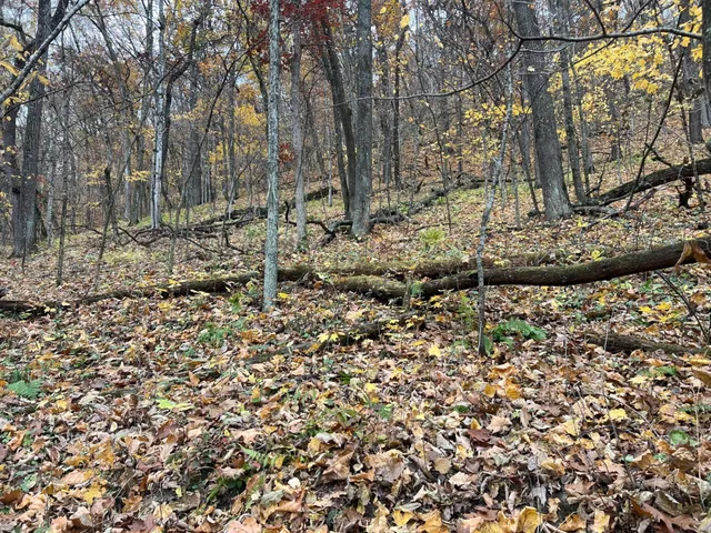 $1,099,000 | Xxx East Twin Ridge Road, Houston, MN 55943