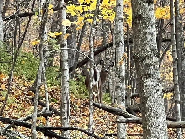 $1,099,000 | Xxx East Twin Ridge Road, Houston, MN 55943