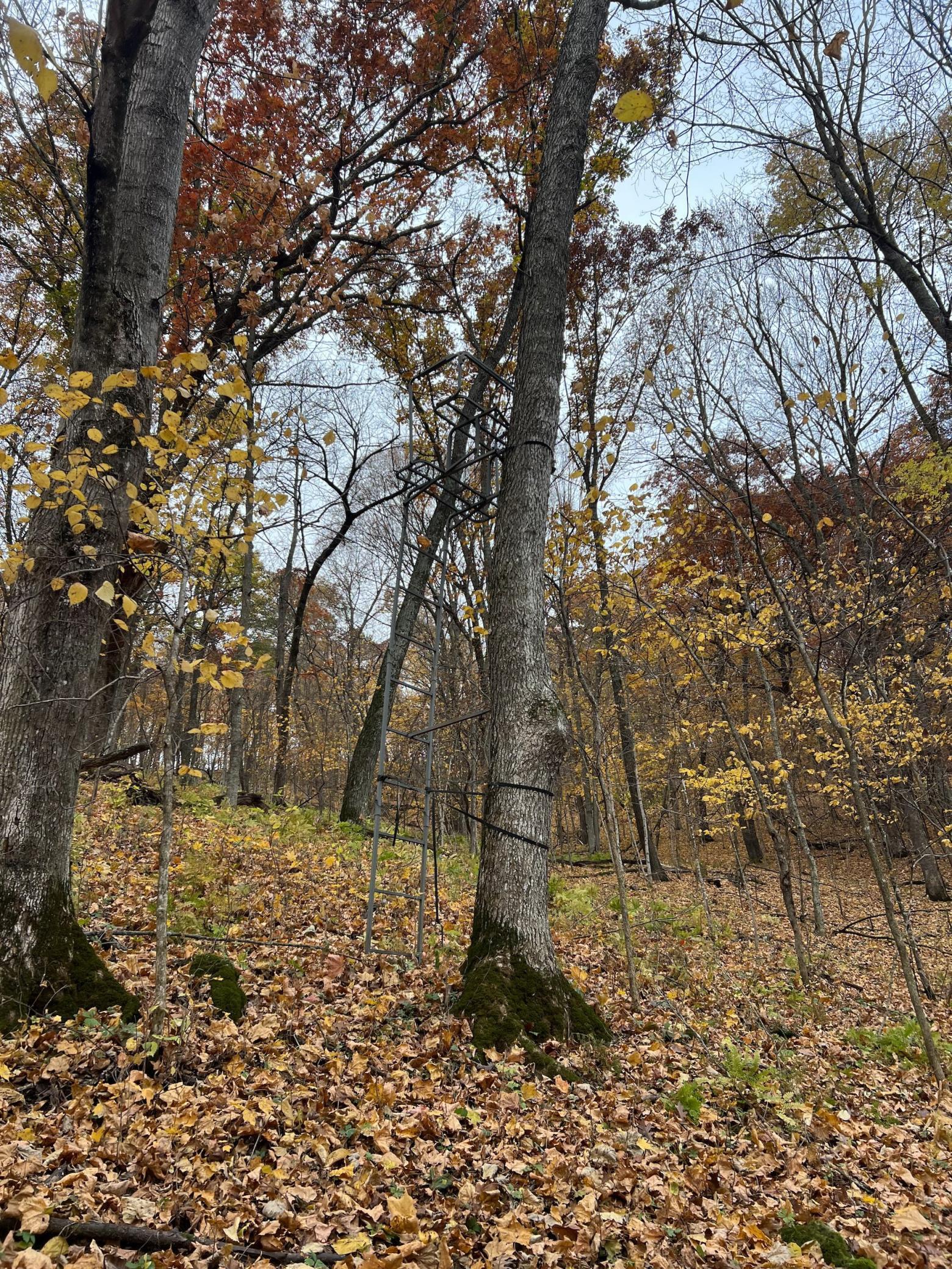 Xxx East Twin Ridge Road Houston, MN 55943 - Photo 77 of 94