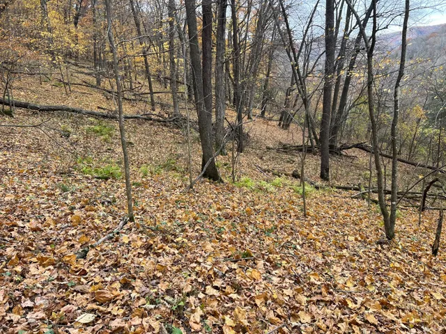 $1,099,000 | Xxx East Twin Ridge Road, Houston, MN 55943