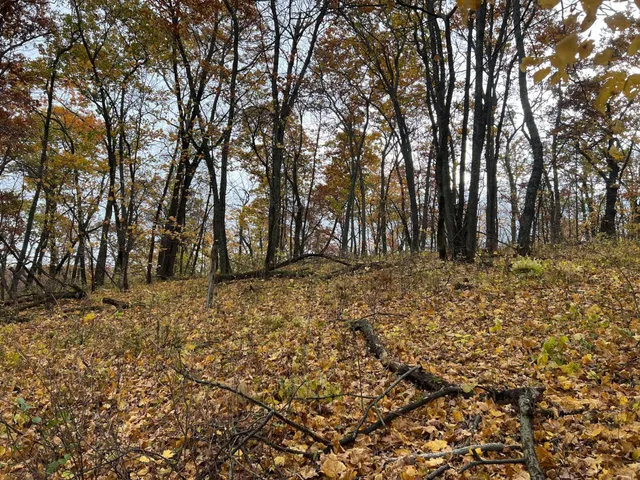 $1,099,000 | Xxx East Twin Ridge Road, Houston, MN 55943