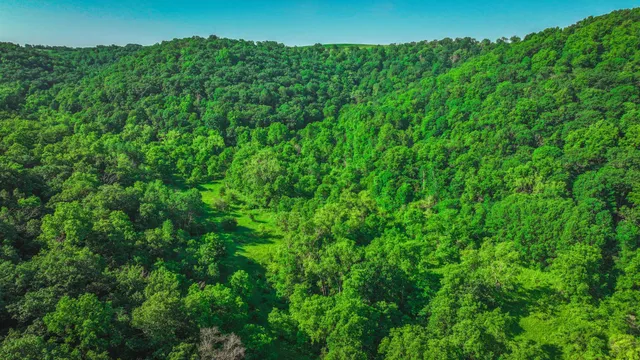 $1,099,000 | Xxx East Twin Ridge Road, Houston, MN 55943