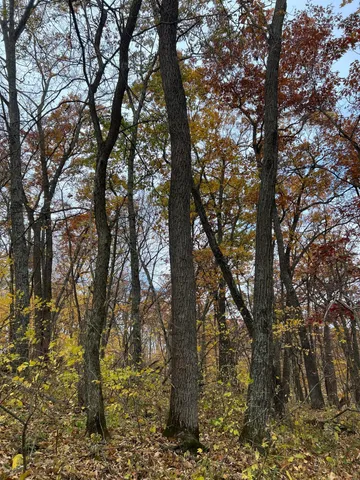 $1,099,000 | Xxx East Twin Ridge Road, Houston, MN 55943