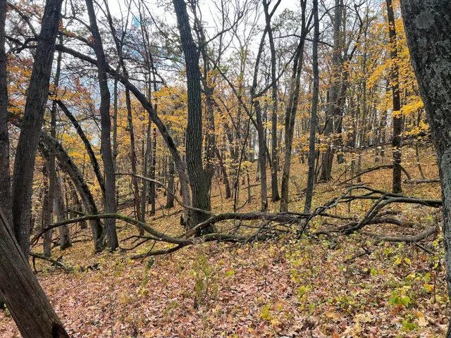 $1,099,000 | Xxx East Twin Ridge Road, Houston, MN 55943