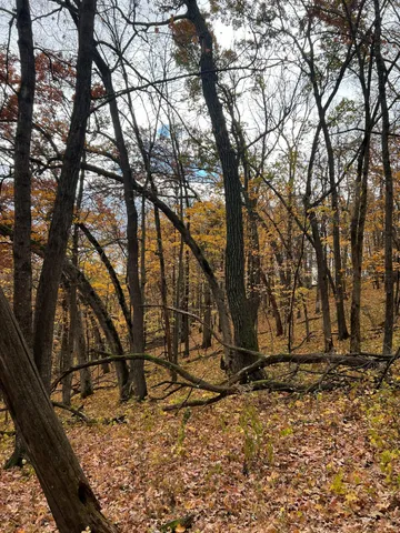 $1,099,000 | Xxx East Twin Ridge Road, Houston, MN 55943