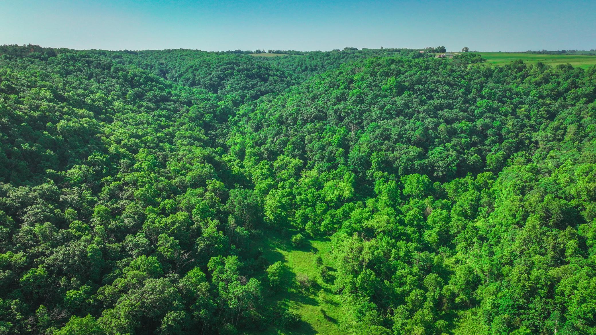 Xxx East Twin Ridge Road Houston, MN 55943 - Photo 10 of 94