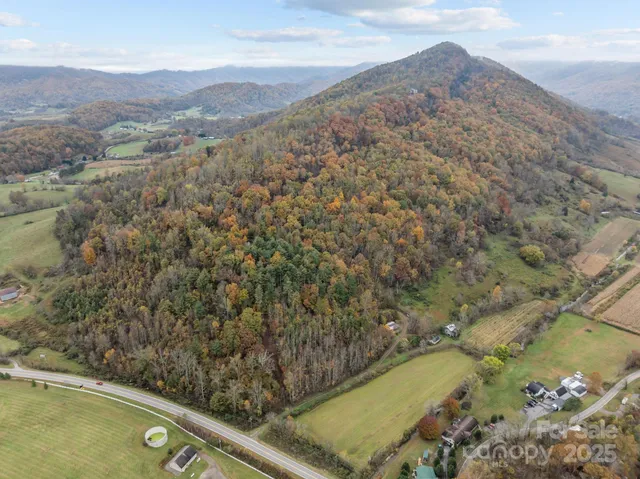 a view of a field with a mountain in the background