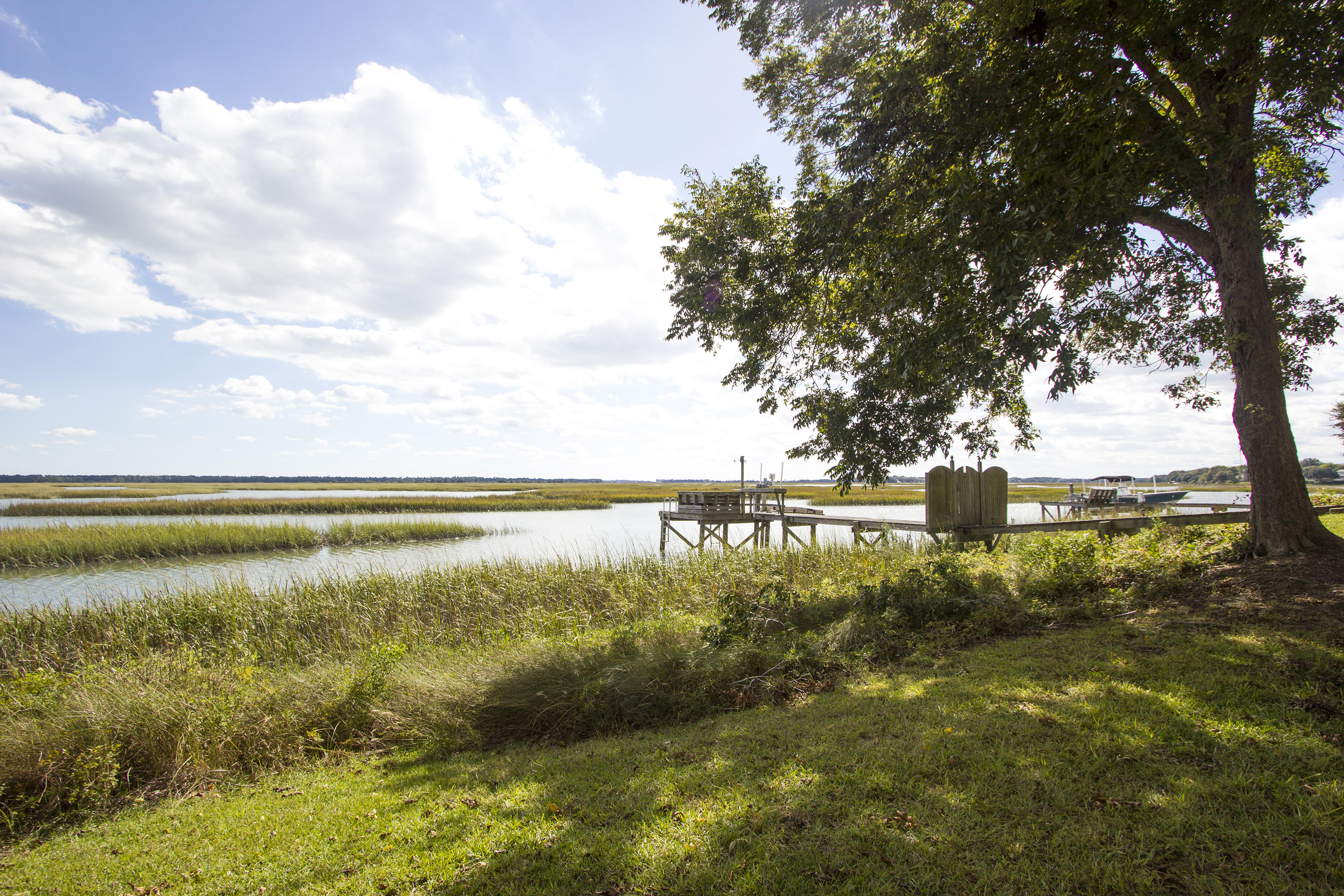 1183 Fort Lamar Road Charleston, SC 29412 - Photo 7 of 100 MLS - FXD - IMG_9198