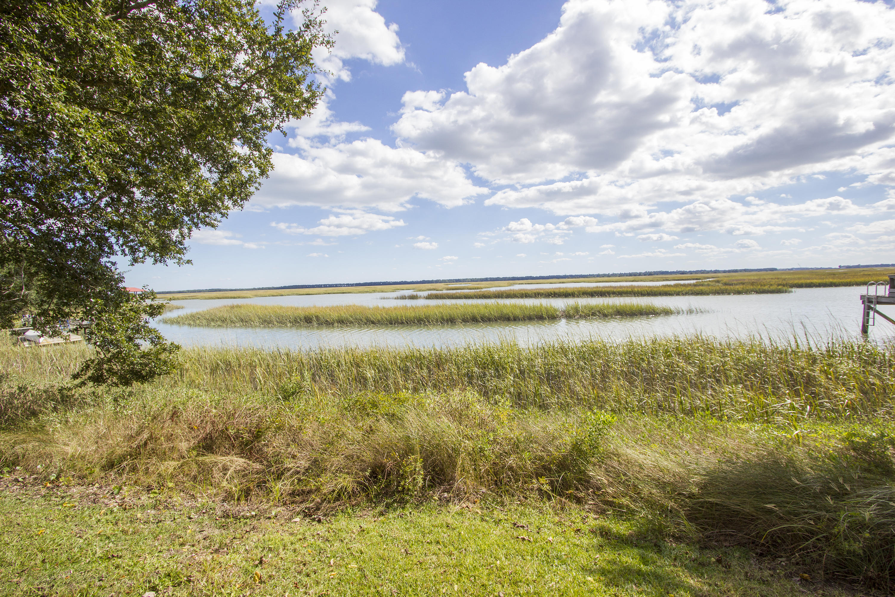 1183 Fort Lamar Road Charleston, SC 29412 - Photo 8 of 100 MLS - FXD - IMG_9199
