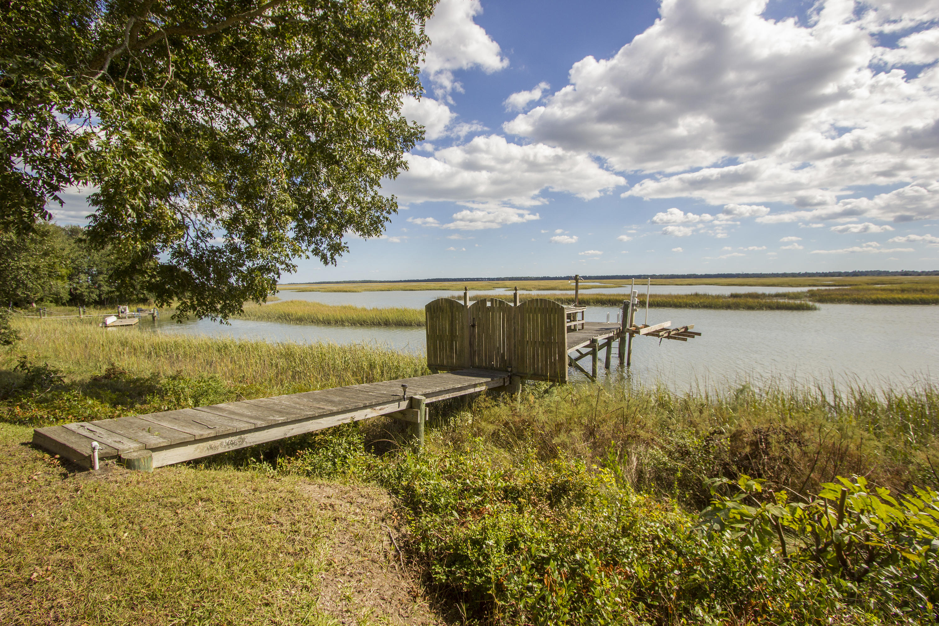 1183 Fort Lamar Road Charleston, SC 29412 - Photo 9 of 100 MLS - FXD - IMG_9213