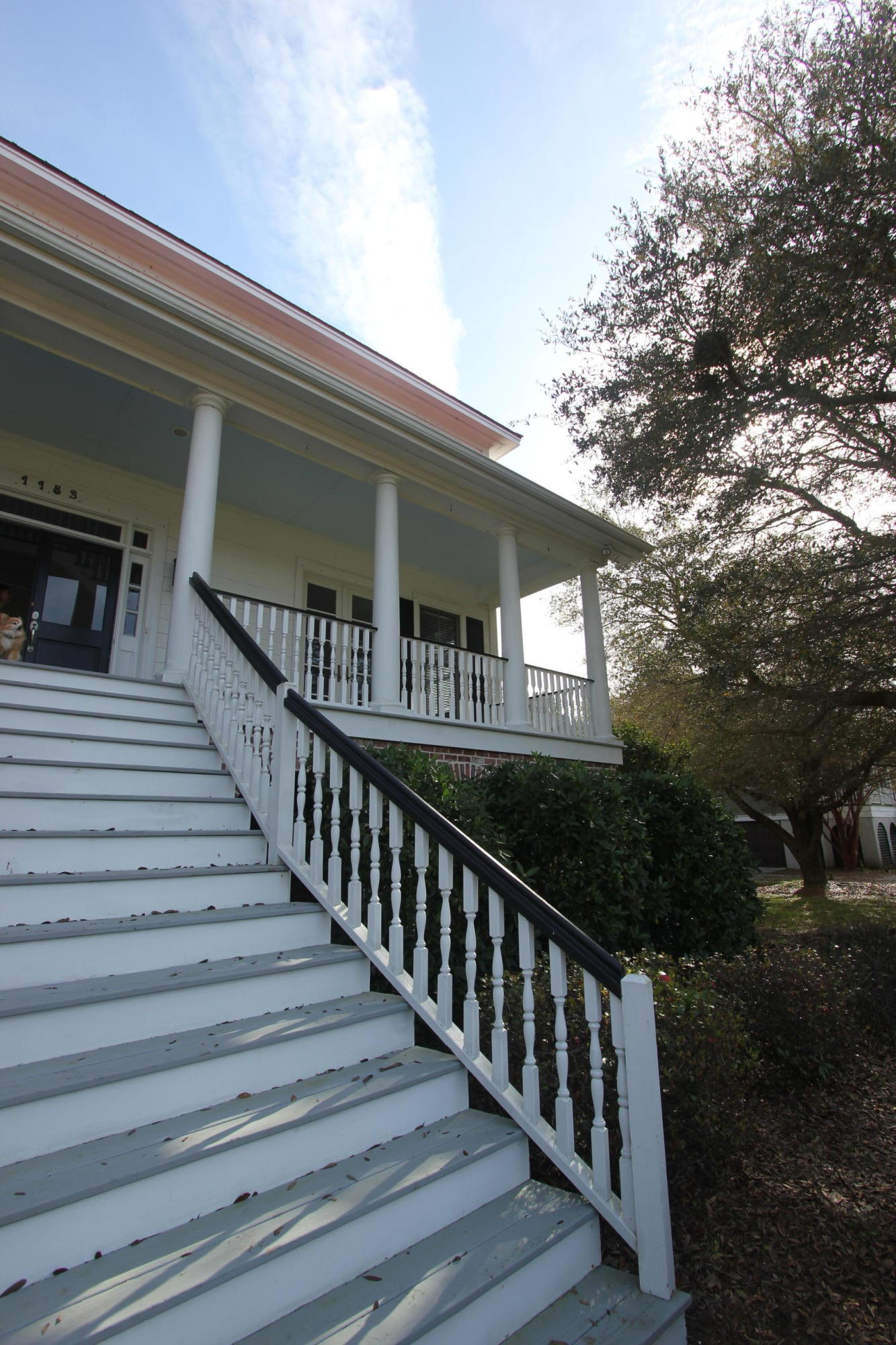 1183 Fort Lamar Road Charleston, SC 29412 - Photo 85 of 100 IMG_5592