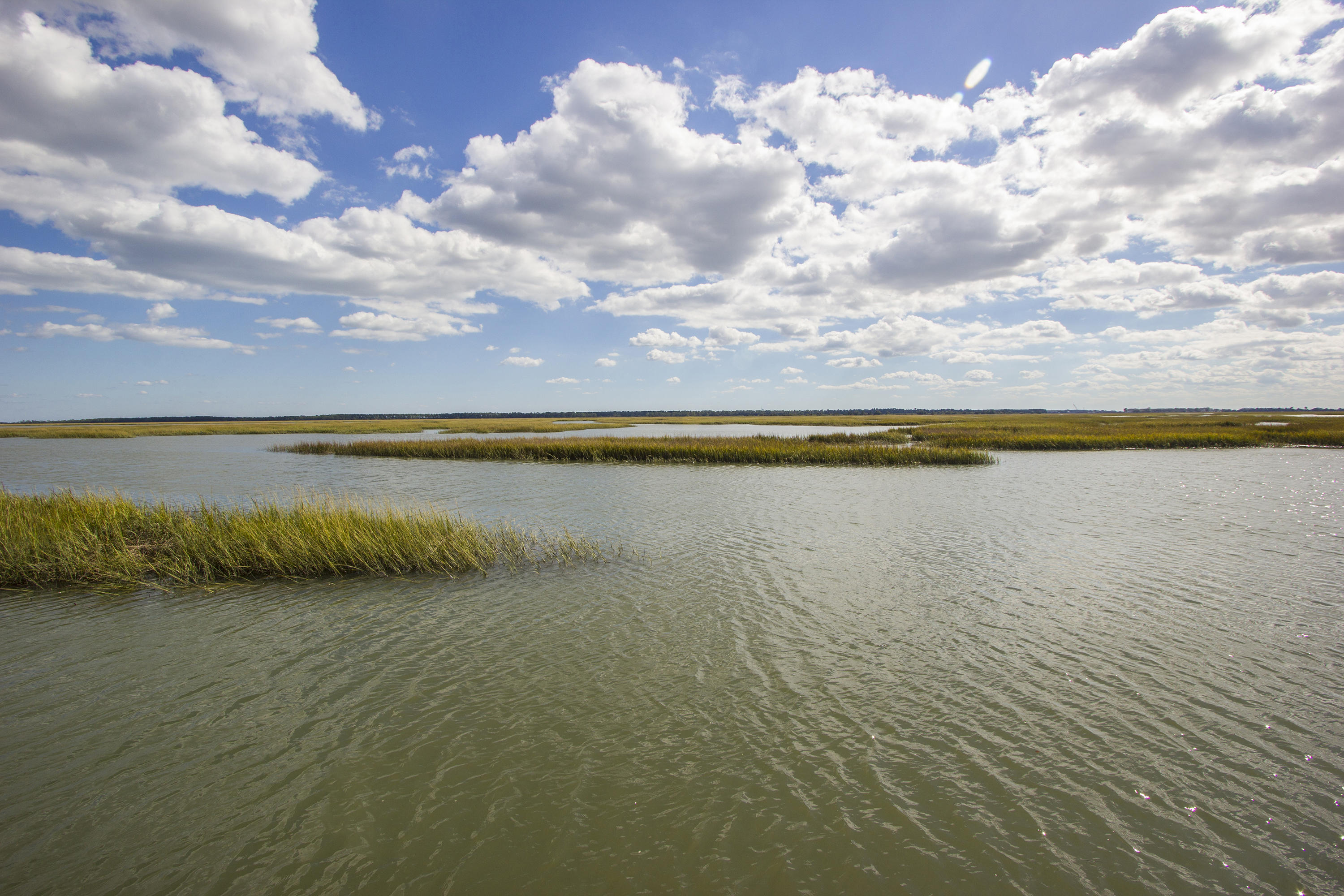 1183 Fort Lamar Road Charleston, SC 29412 - Photo 10 of 100 MLS - FXD - IMG_9226PHOTOSHOPPED
