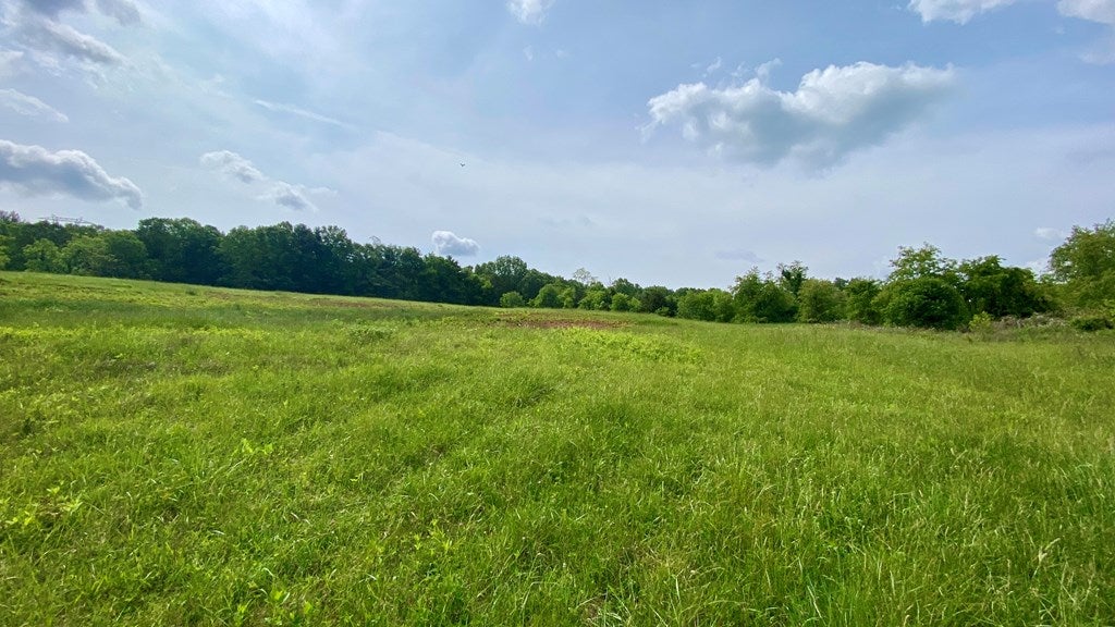 Tbd Castleton Road, Unit 62110 Max Meadows, VA 24360 - Photo 12 of 37 Gallery Image 12