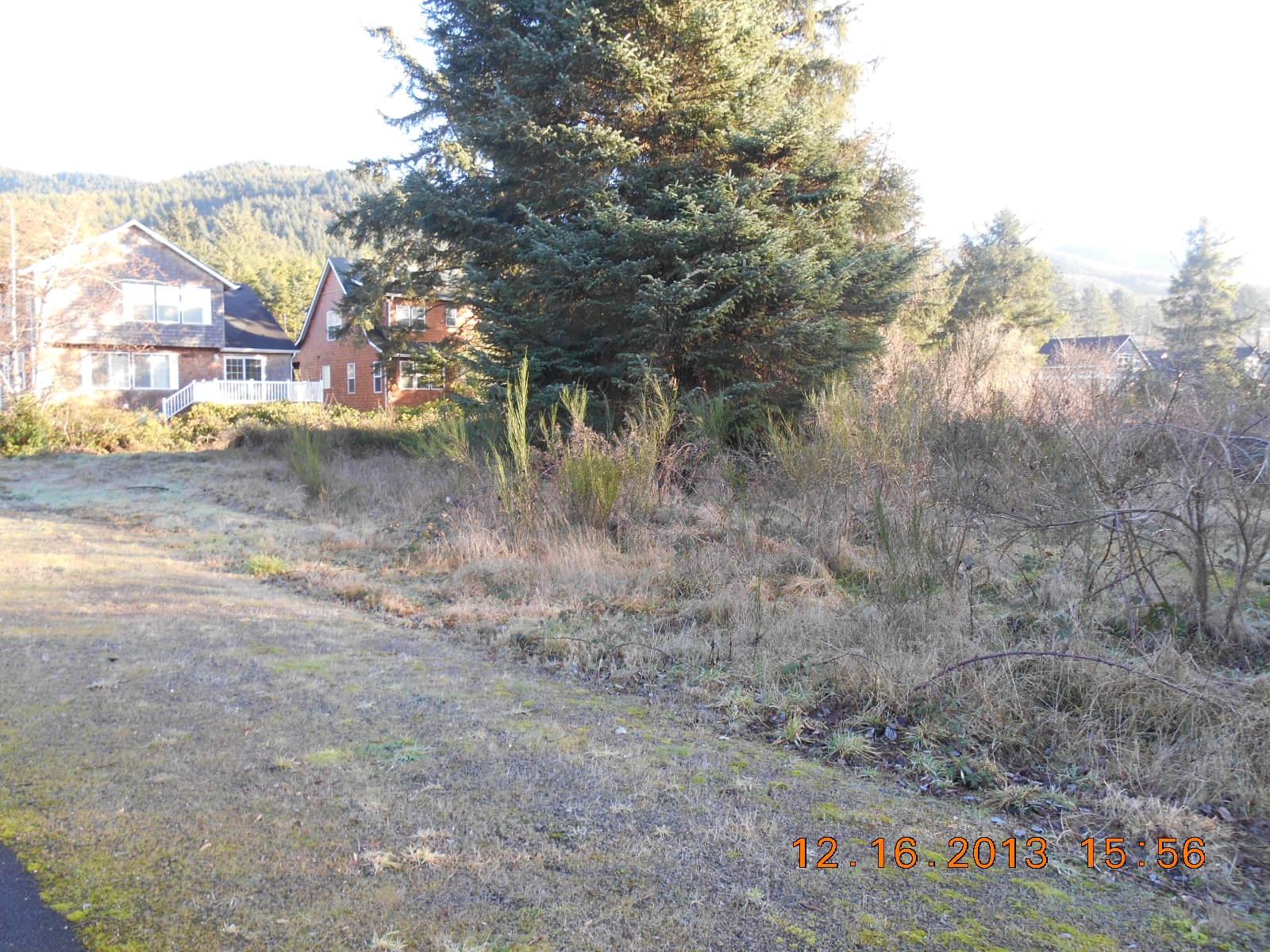 Section Line Street Rockaway Beach, OR 97136 - Photo 4 of 7 4