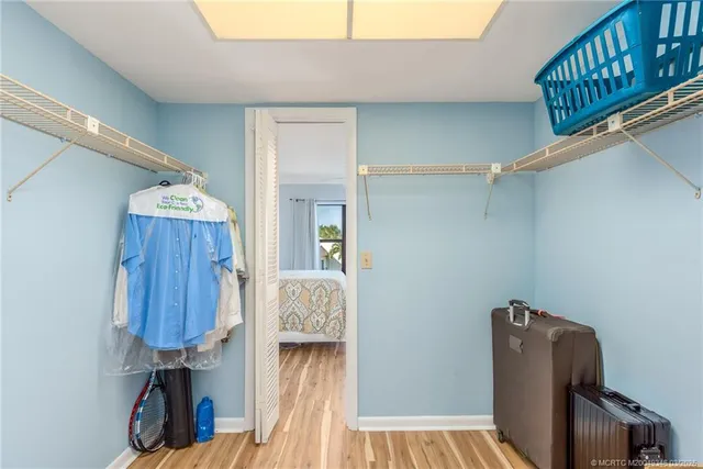 a view of a park with a bench and plants