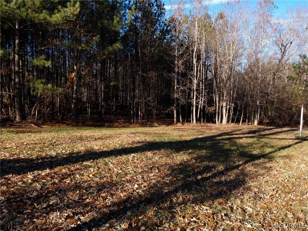 Gallery Image 6