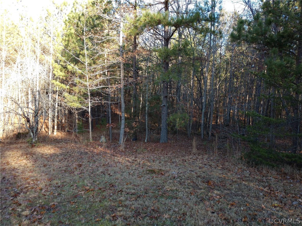 Gallery Image 7
