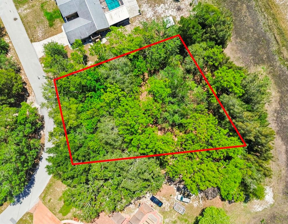 6972 Eastbrook Drive Spring Hill, FL 34606 - Photo 4 of 7