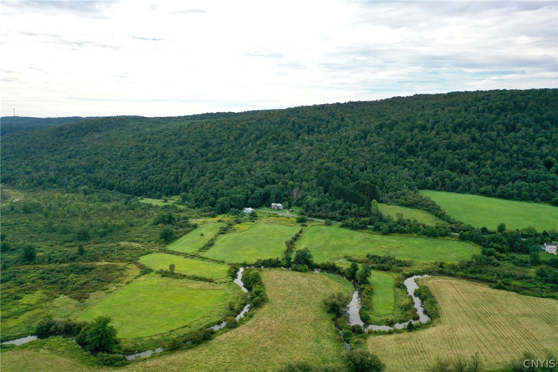 0 West Cheningo Road Truxton, NY 13158 - Photo 6 of 9 Gallery Image 6