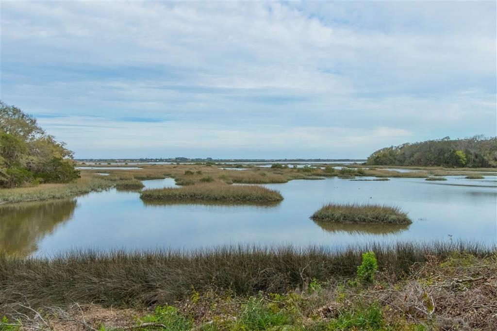 802 Royal Road St. Augustine, FL 32086 - Photo 45 of 47 a view of a lake from a yard