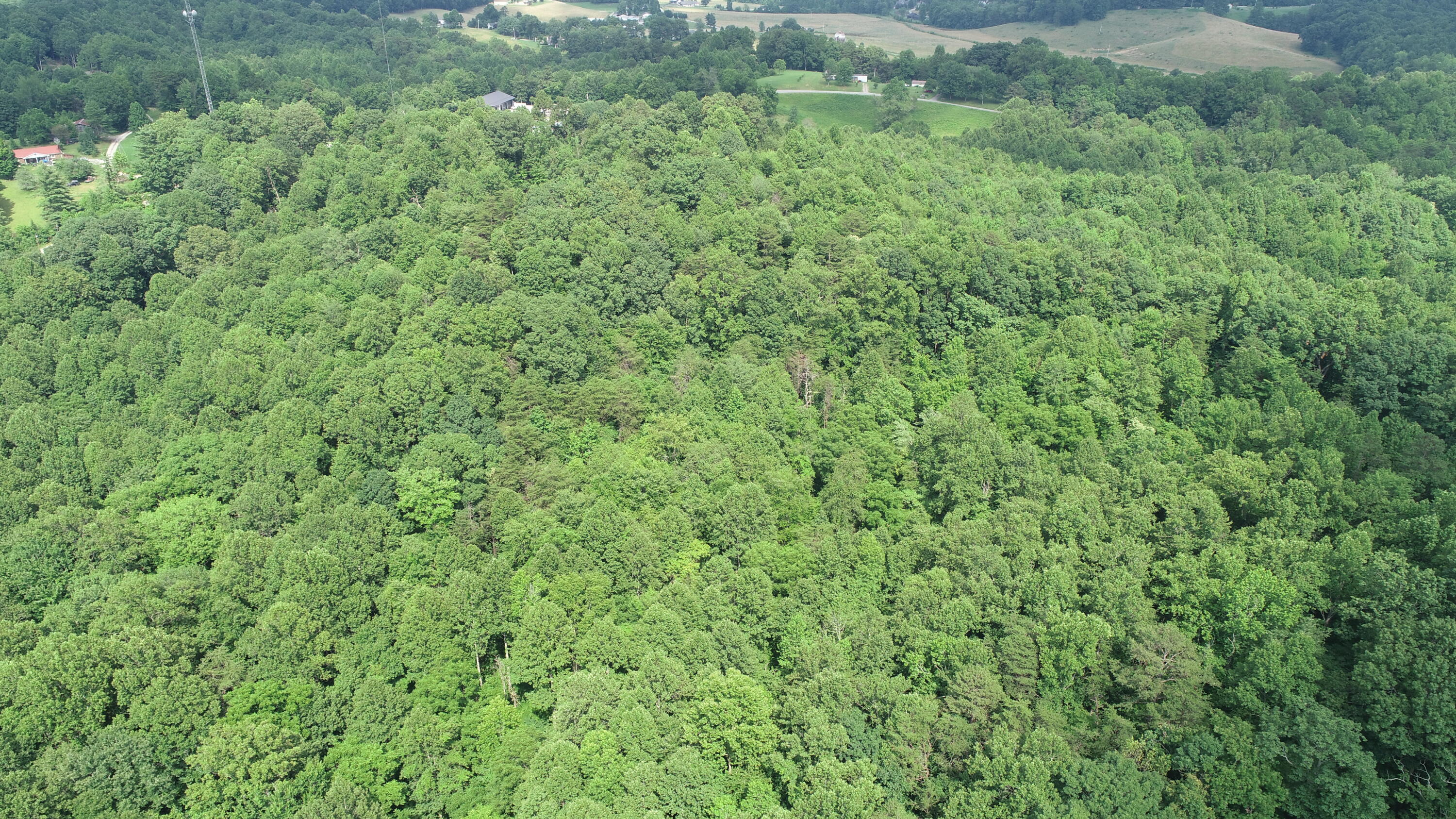 111 James Harris Cemetery Road London, KY 40741 - Photo 20 of 22 DJI_0762