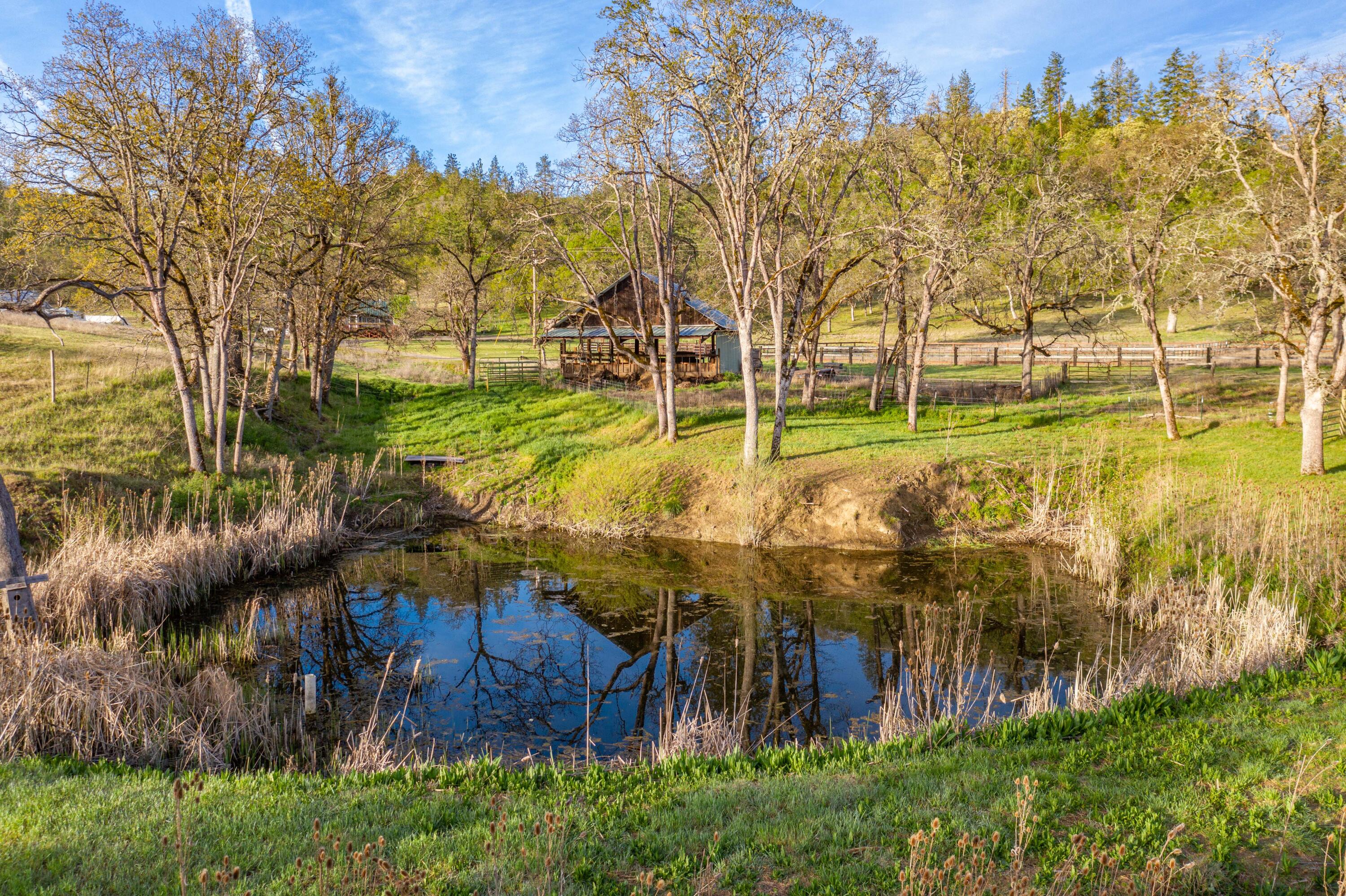 1884 South Obenchain Road Eagle Point, OR 97524 - Photo 44 of 65 44