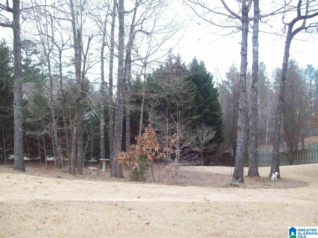 330 Grande View Trail Alabaster, AL 35114 - Photo 34 of 35