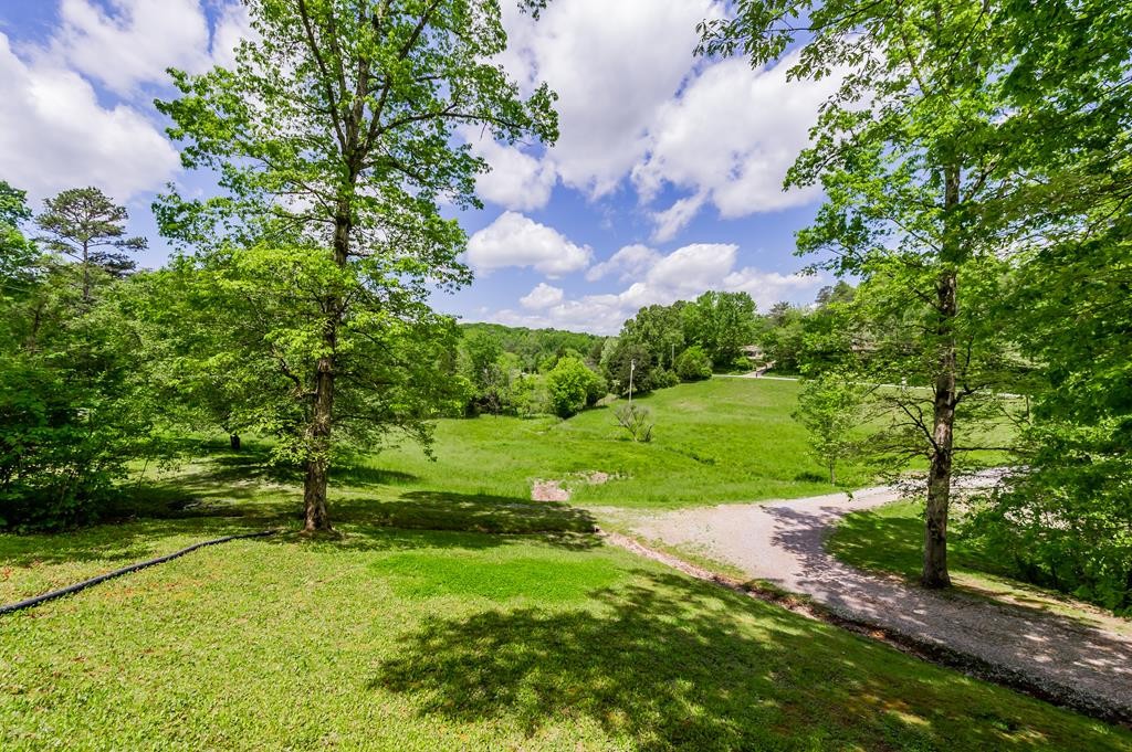 0 Ponders Gap Road Ten Mile, TN 37880 - Photo 2 of 27 Gallery Image 2