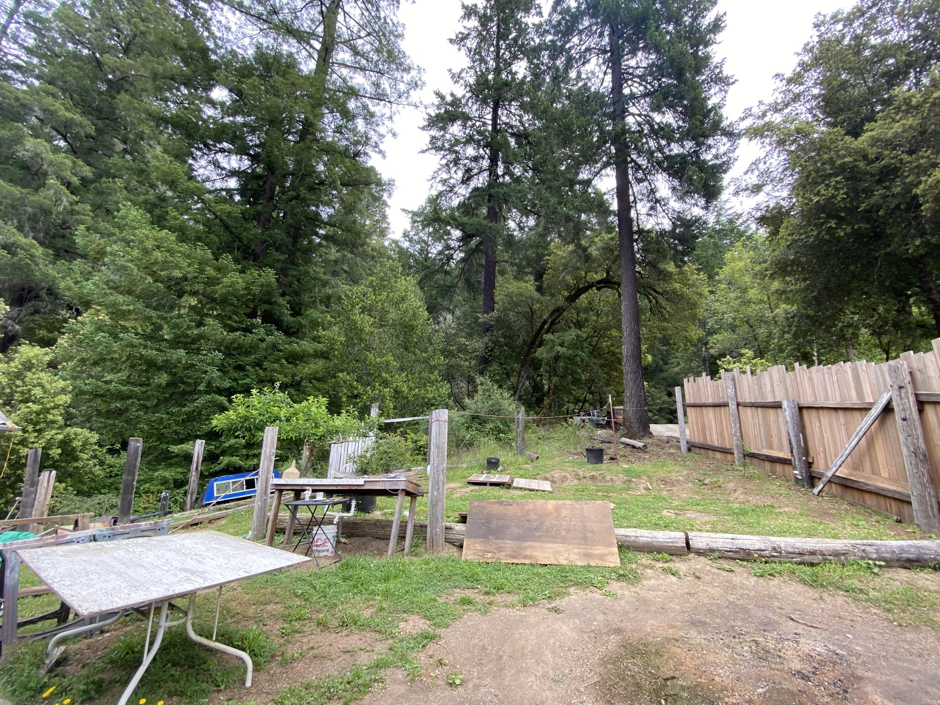 311 Logan Road Miranda, CA 95553 - Photo 24 of 39 IMG-7491