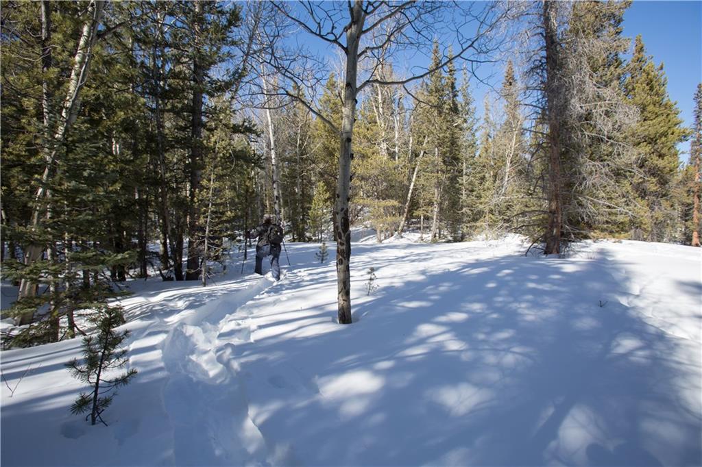 Tbd Tbd Larry's Road Fairplay, CO 80440 - Photo 8 of 17 Gallery Image 8