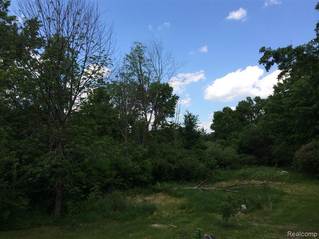 13045 White Lake Road Fenton, MI 48430 - Photo 26 of 30 26 Photo Jun 16, 2 32 43 PM (Medium).jpg