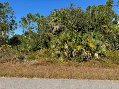 2 Mattox Circle North Port, FL 34288 - Photo 3 of 4