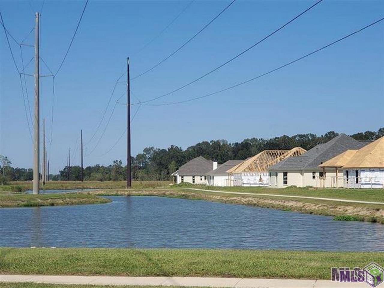 17322 Rabbit Rush Avenue Prairieville, LA 70769 - Photo 20 of 24 Gallery Image 20