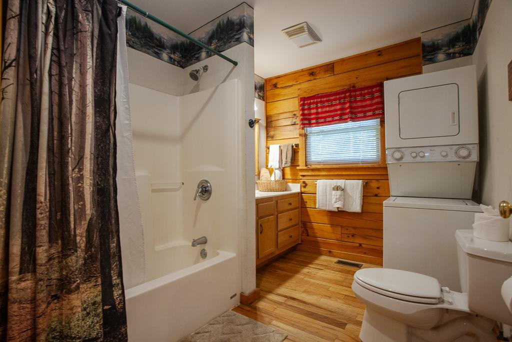322 Hickory Br Road Whittier, NC 28789 - Photo 24 of 50