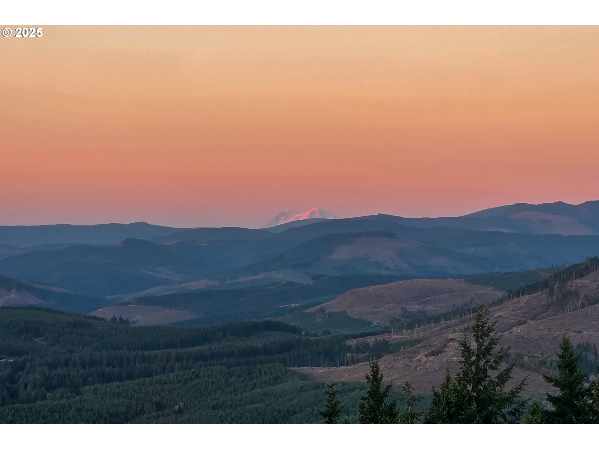 421 Woodland Heights Road Woodland, WA 98674 - Photo 38 of 48 a view of an outdoor space and mountains