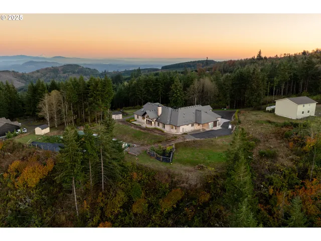 a view of a lush green forest with trees in the background